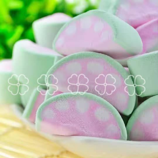 Watermelon Marshmallow: A Slice of Summer in Every Bite